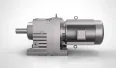 Gearbox for Canned Goods - Wangchi