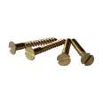 Slotted countersunk head screws