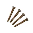 silicon bronze screws