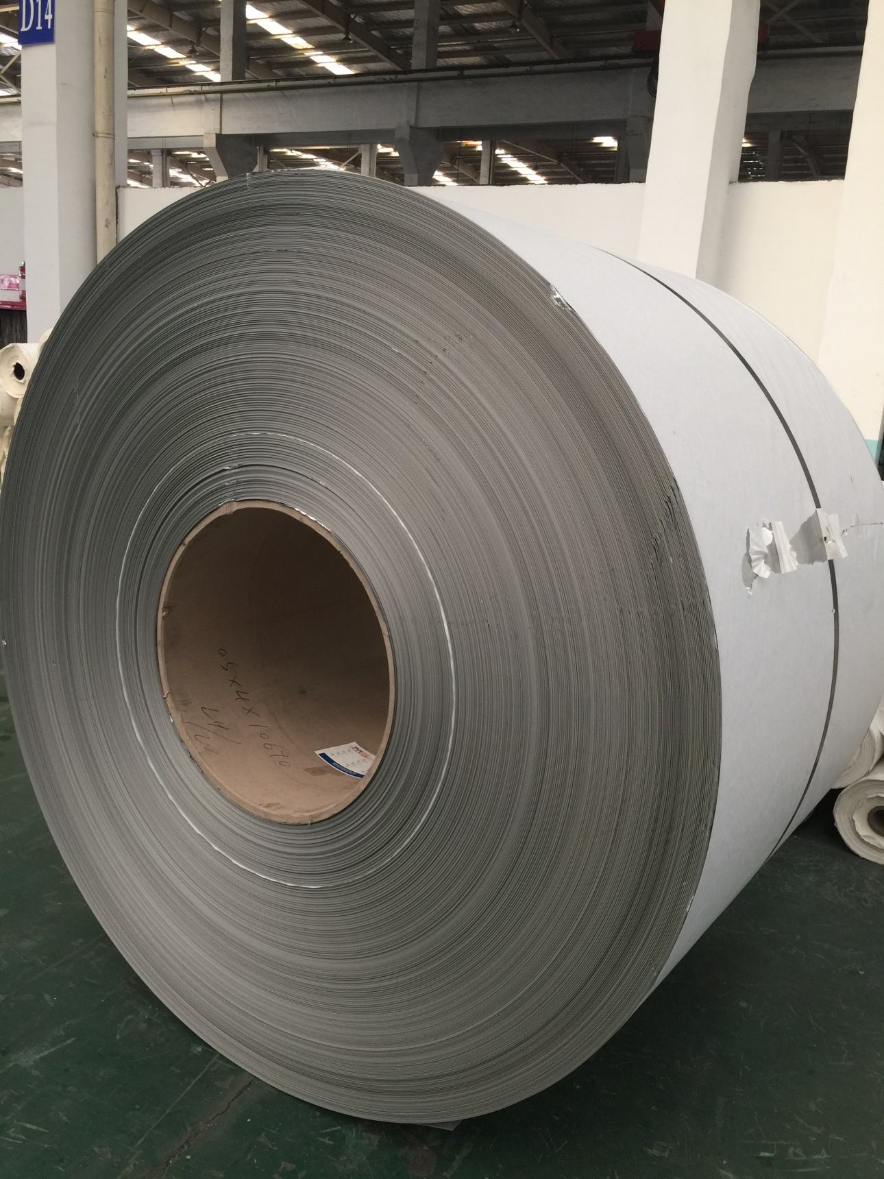 AISI SUS JIS SS 304 316 Coil 1000mm Hot Rolled Cold Rolled 316L 304 ASTM EN