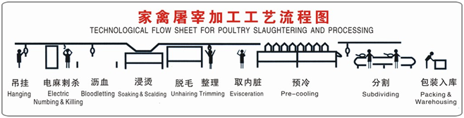 chicken meat slicer  machine poultry processing  slaughterhouse equipment