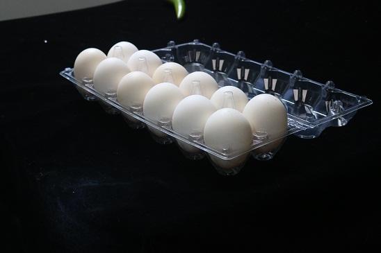 cheap clear 30 holes PET PVC plastic egg tray