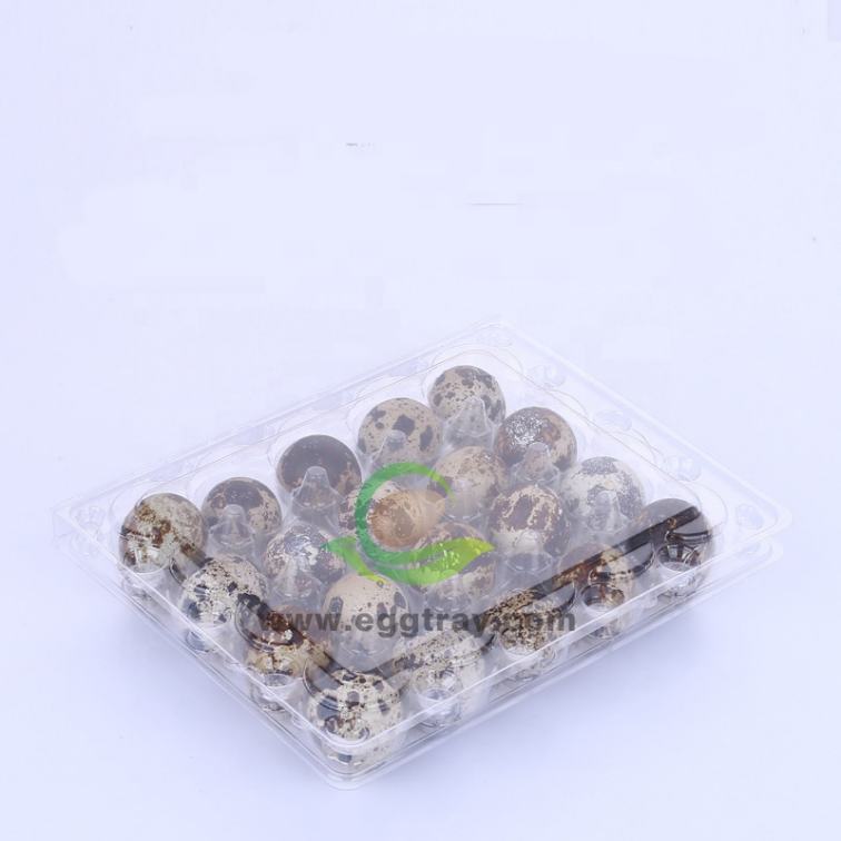 20  holes  clear disposable plastic PET  quail egg tray
