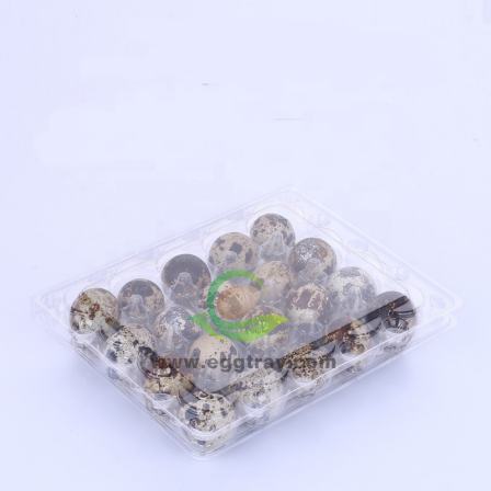 20  holes  clear disposable plastic PET  quail egg tray