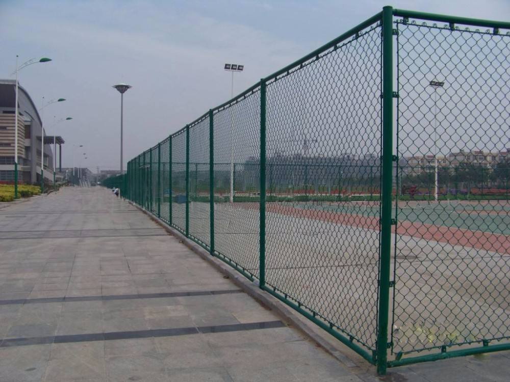 Steel Fence Chicken House Galvanised Wire Netting