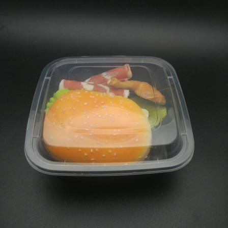 Customized Design disposable square plastic box lunch food container