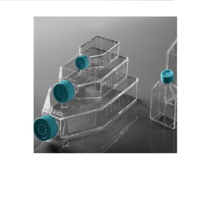 25 75 175 225 Square Centimeter  Laboratory  Plug Seal Vent Cap Tissue Cell  Culture Flask