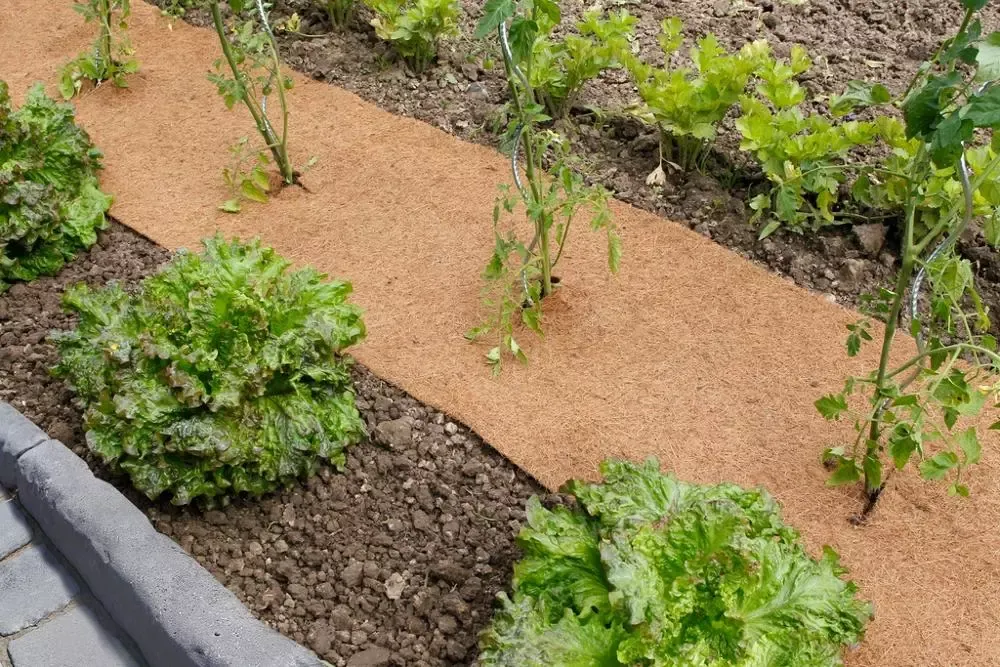 5mm Hemp grow mat 100% natural jute fiber biodegradable seed tray microgreen trays jute felt