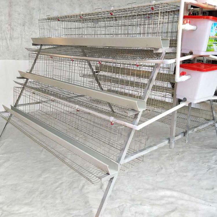 chicken cage for sale with the best price