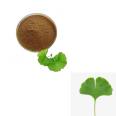 Pure Ginkgo Leaf Extract Powder and Ginkgo Biloba Extract Powder 24%