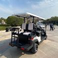 ZYCAR Brand Multifunctional aluminum frame independent suspension electric golf cart with professional meter