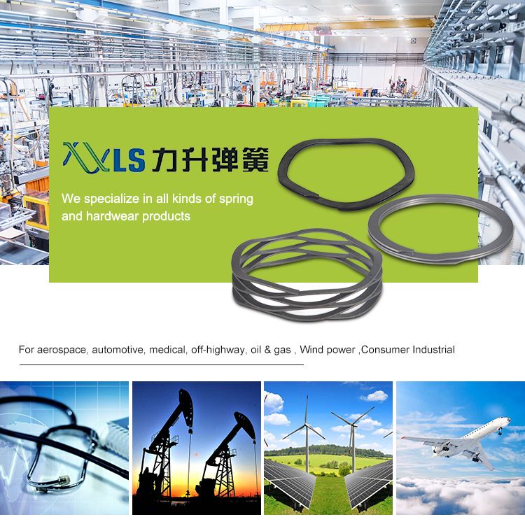 constant section retaining ring wire clip manufacturer for shaft 17-7PH Stainless Steel Material