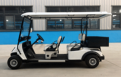 Electric 2 seater golf carts factory price With cargo box