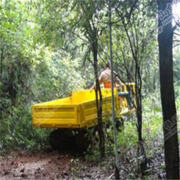 Mini crawler dump truck/tracked vehicle