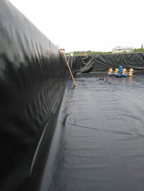 Customized Size Waterproof Pond Liner Hdpe Geomembrane