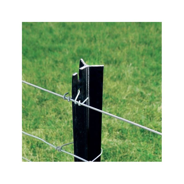 Full Range of Star Pickets Y Post for Rural Supplier