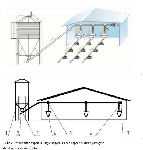 Steel Feed Tower Silo for Pig Farm Chicken Farm Feeding System