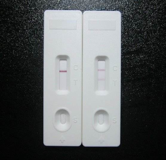 E.coli O157 Lateral flow rapid test cassette