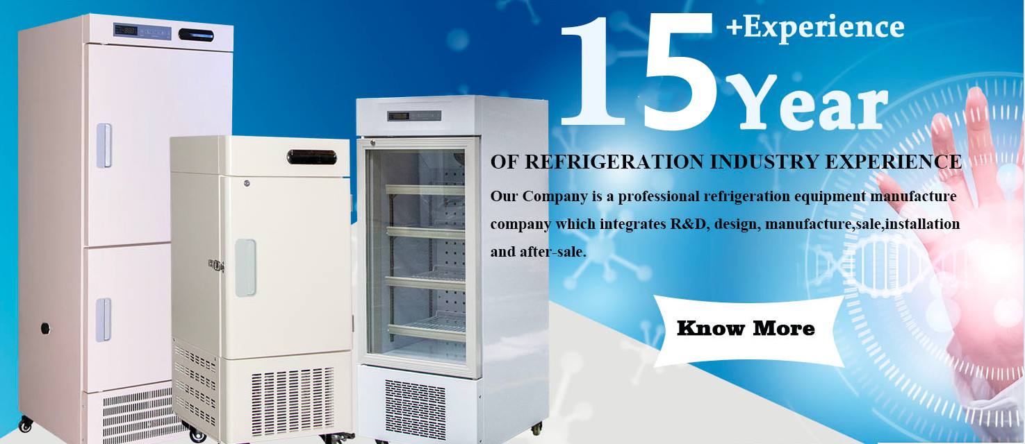 -86 Degree Chest Top Door Small Blast Freezer Refrigerator for Fisher and Home Frozen Refrigerator ISO Single-temperature