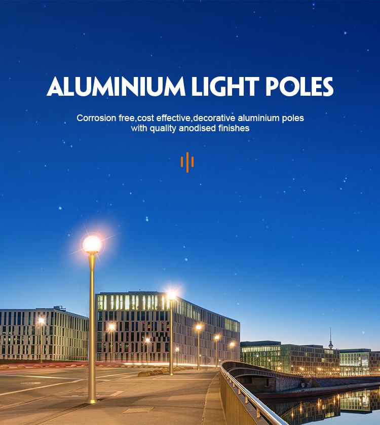 Yaolong Aluminum Alloy Modern Outdoor Lamp Pole Cast Cast Iron Led Garden Decorative Light Pole