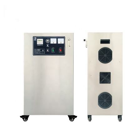 Custom made industrial water treatment 50g oxygen source ozone generator