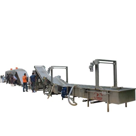 Automatic Raisins wash dry sorting packing color sorting machine with CE ISO 9001