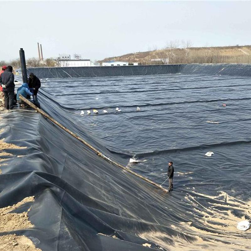 0.7mm Farm Pond Liners for Fish and Shrimp Ponds Geomembrane in Philippines