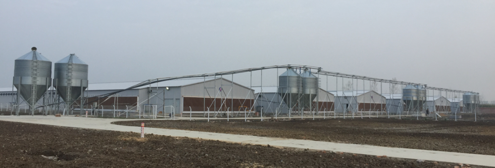 Steel Feed Tower Silo for Pig Farm Chicken Farm Feeding System