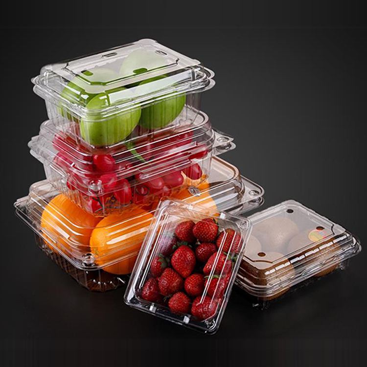Customize biodegradable packaging blister disposable plastic clear clamshell food containers