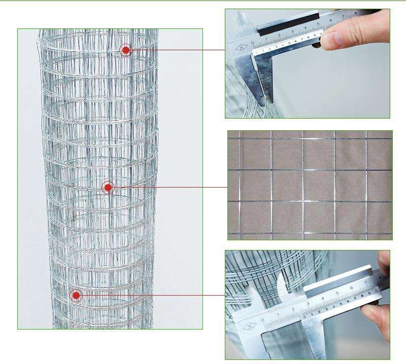 Galvanized welded wire mesh panel chicken cage