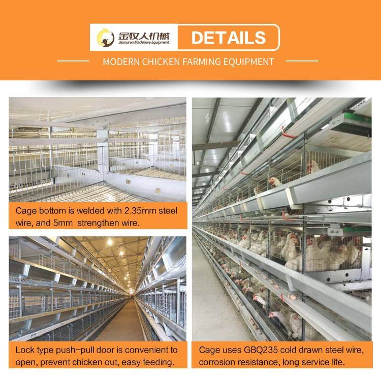 Jinmuren 2 tiers capacity 80 birds per set Chicken Use and Galvanized Wire Material poultry battery cages in Nepal