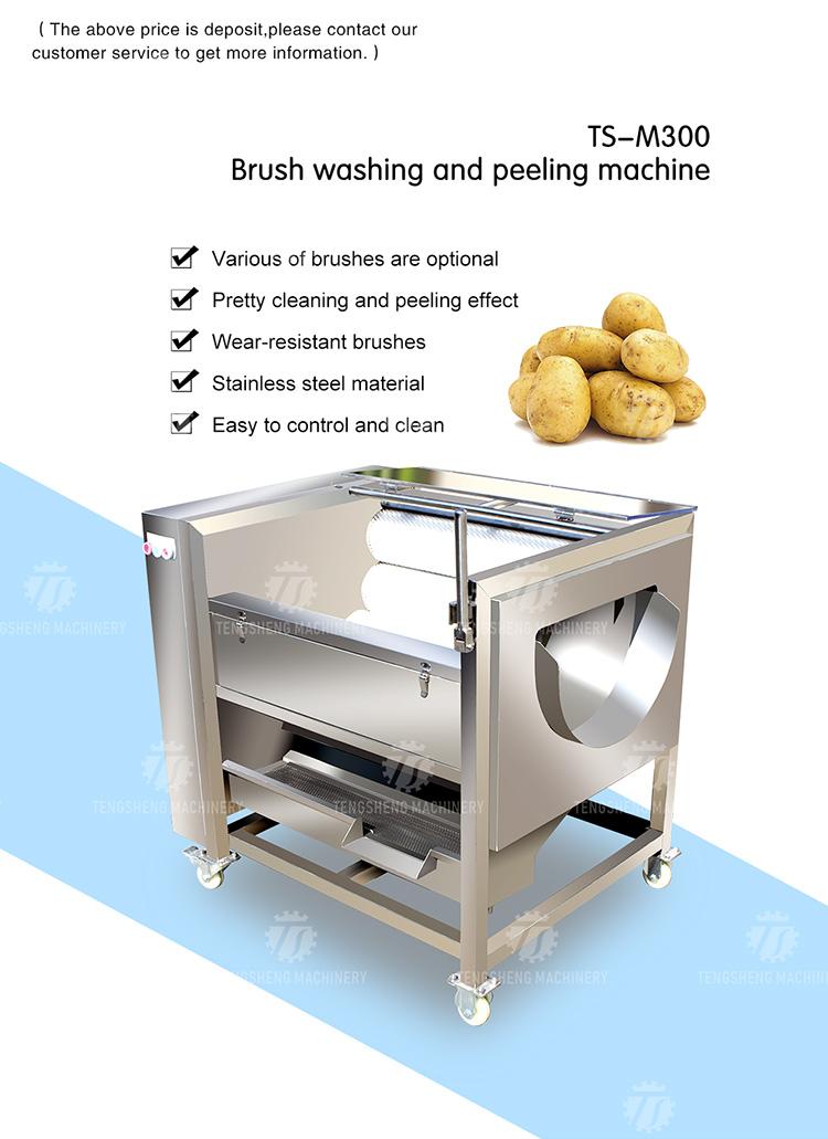 (TS-M300) Carrot peeling and washing machine/Industrial potato peeling machine brush type