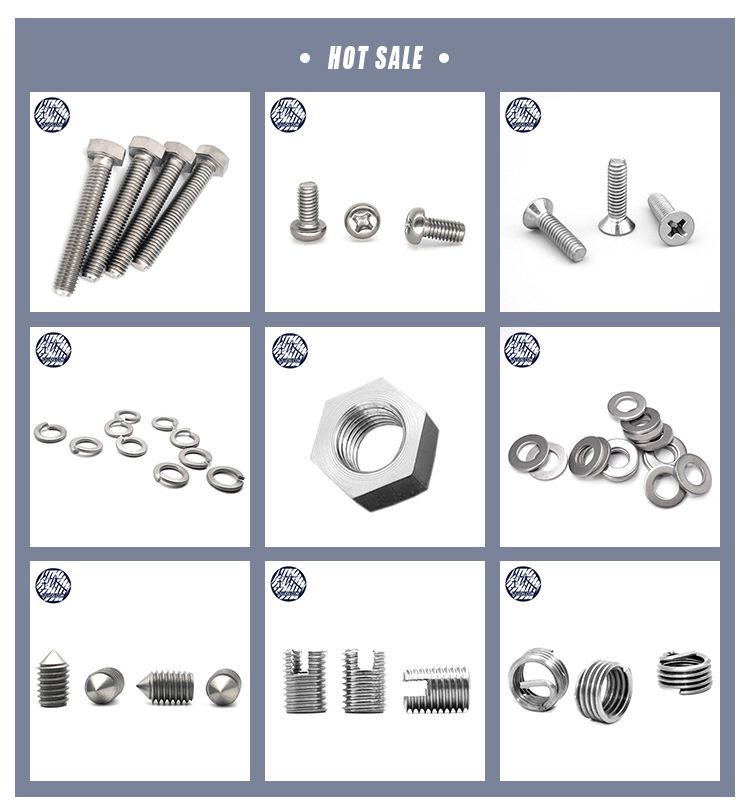 Factory Sale Gr2 Titanium Fasteners Hex Head Titanium Bolt M2.5-M16