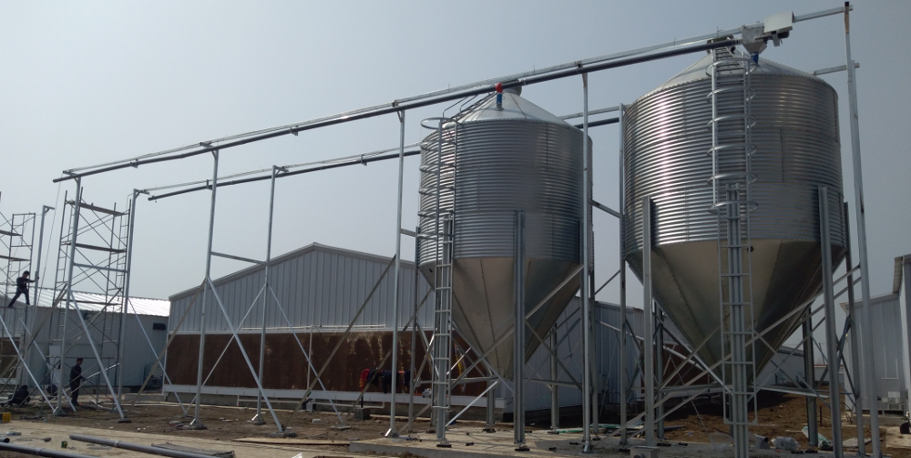 Steel Feed Tower Silo for Pig Farm Chicken Farm Feeding System