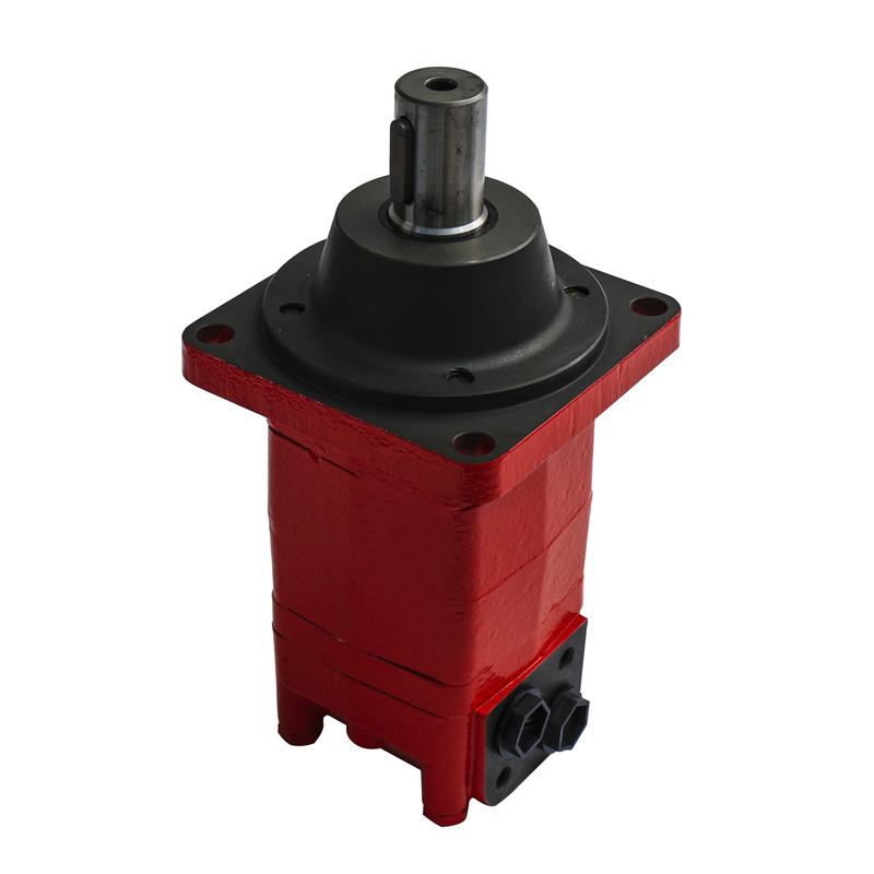 Demandable products high quality low speed high torque custom hydraulic gear motors