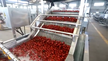 Fruit vegetable washer/Salad Laef Vegetables Processing Production Line