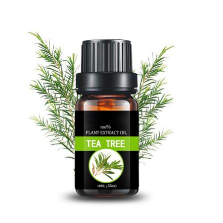 Customized small bottle manufacturer shampoo Daily Flavor, Food Flavor aromatherapy diffuser tea tree oil