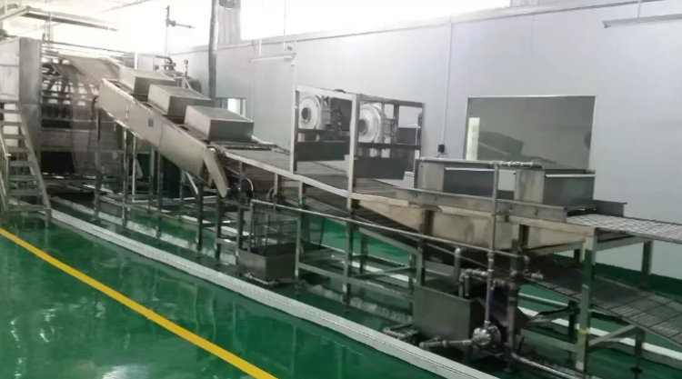 Small scale semi automatic shirataki instant soap noodle production line making machine