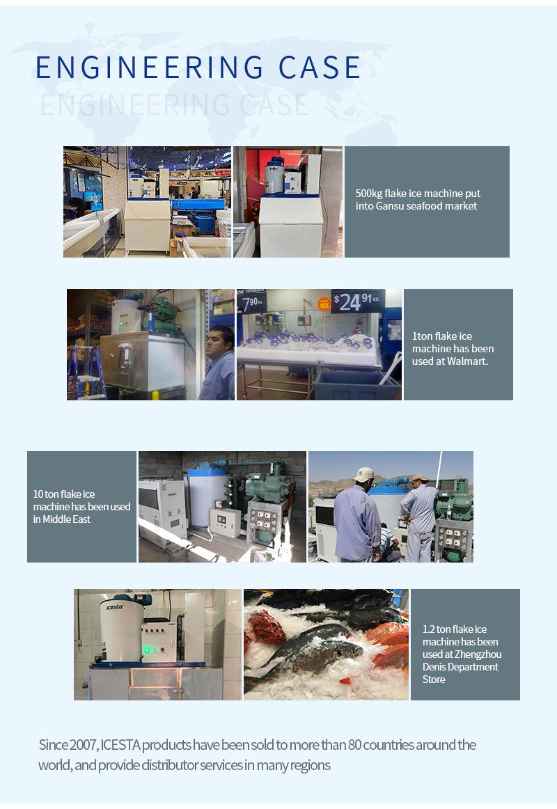 ICESTA low price 1000 3000 kgs ice flake making machine manufacturer Best supplier