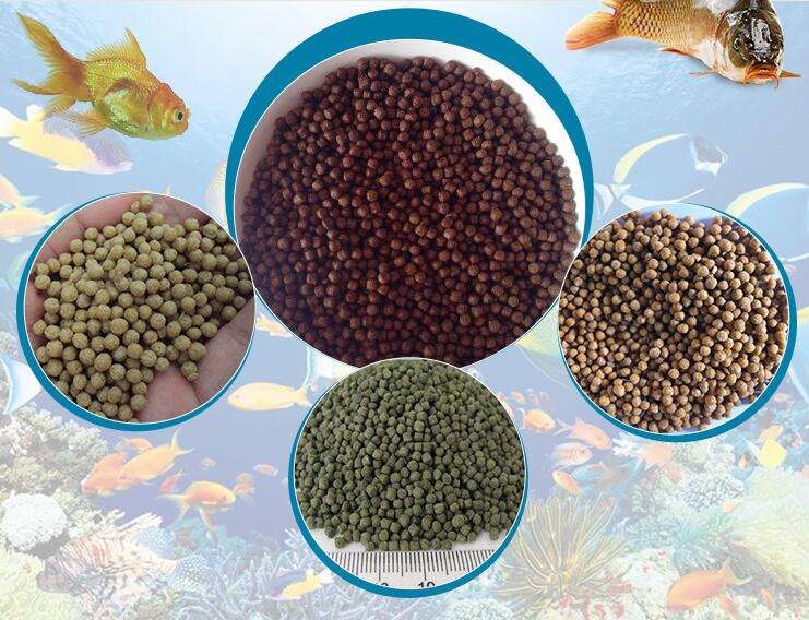 Floating Fish Feed Pellet Machine Price For Catfish Feed