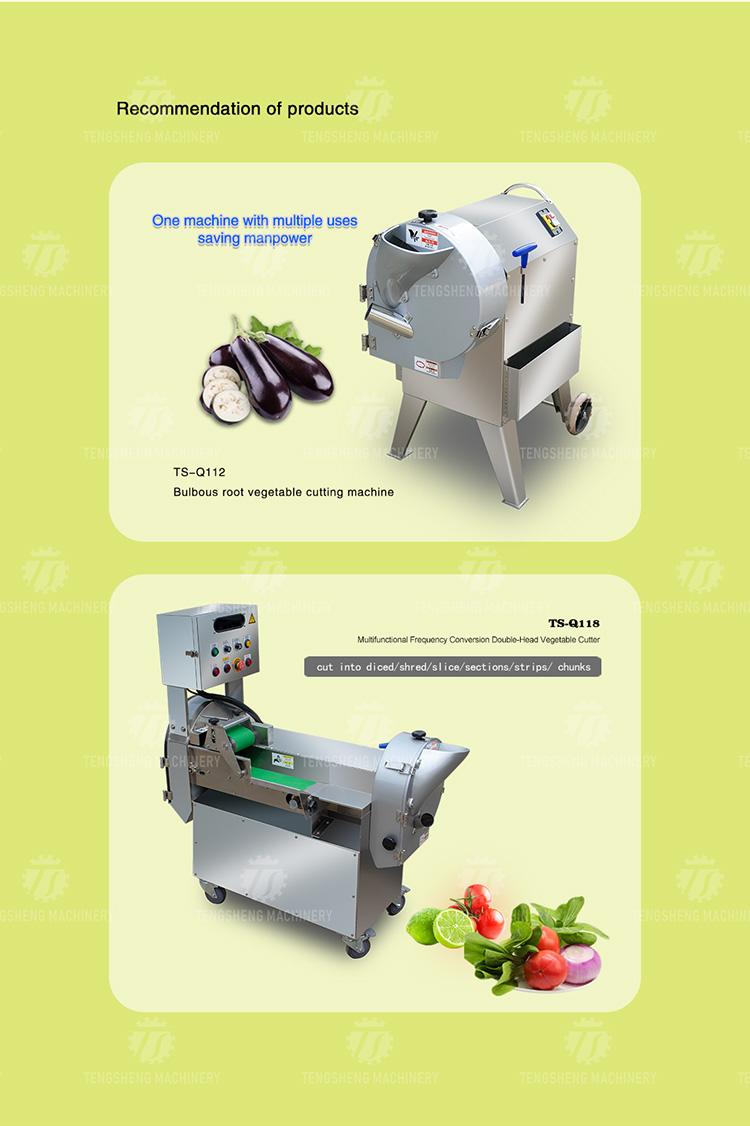 Commercial Cutting Machine for Ginger Slice and Julienne Machine Chinese Yam Slicing Machine (TS-Q50)