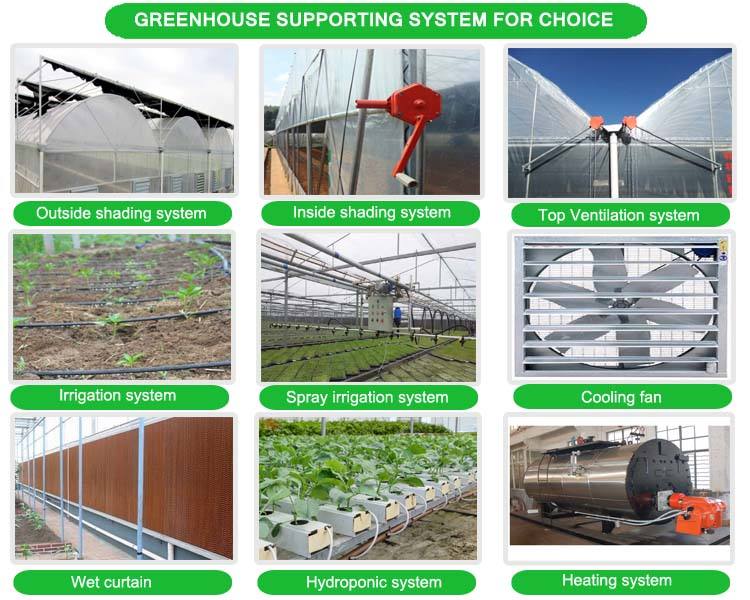 Manufactures multi span arch doom poly tunnel film greenhouse hydroponic greenhouse plastic for vegetables
