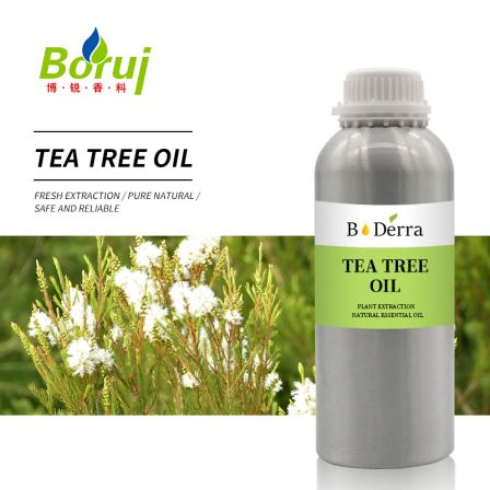 unscented wholesale private label cheap bulk price 100% pure natural organic essential tea tree oil
