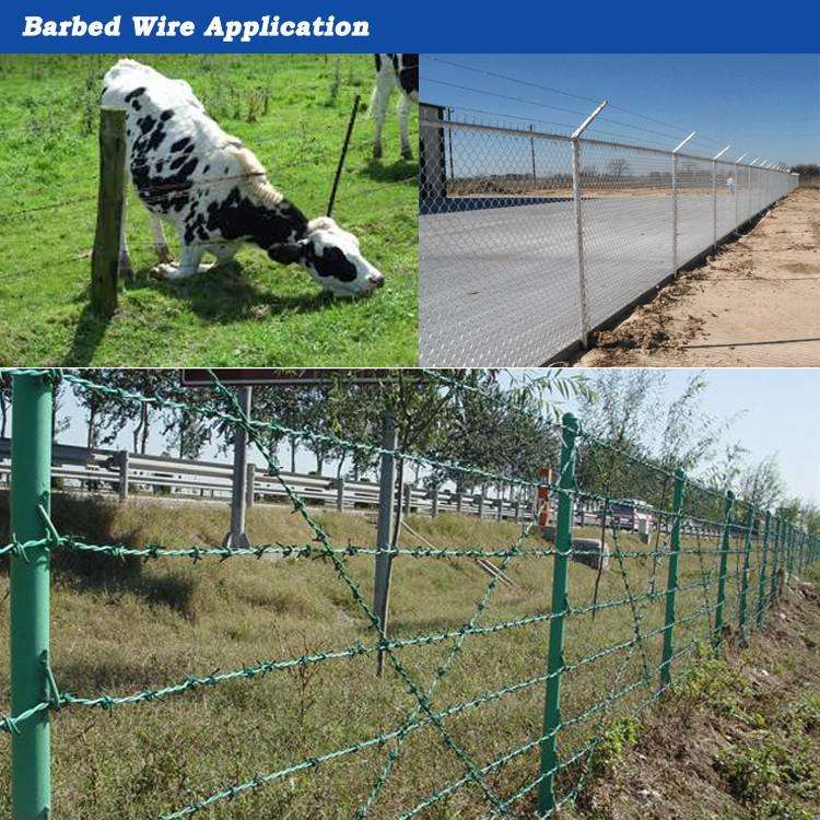 Double Twisted galvanized or pvc coated barbed wire cheap price