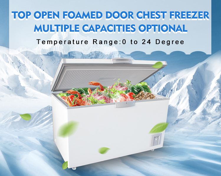 Commercial Freezer Refrigerator And Freezer Deep Single Door Seafood Meat Freezer BD/BC-200