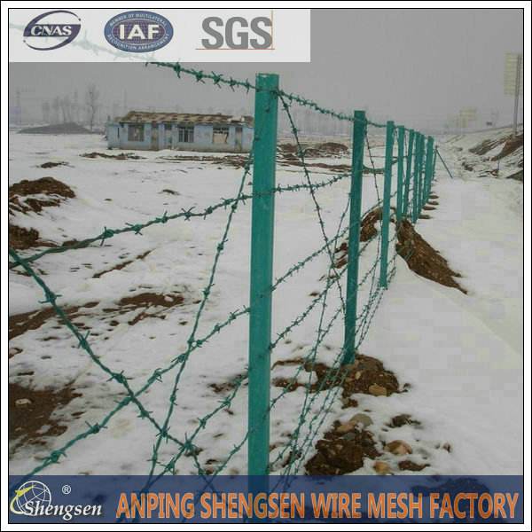 Double Twisted galvanized or pvc coated barbed wire cheap price