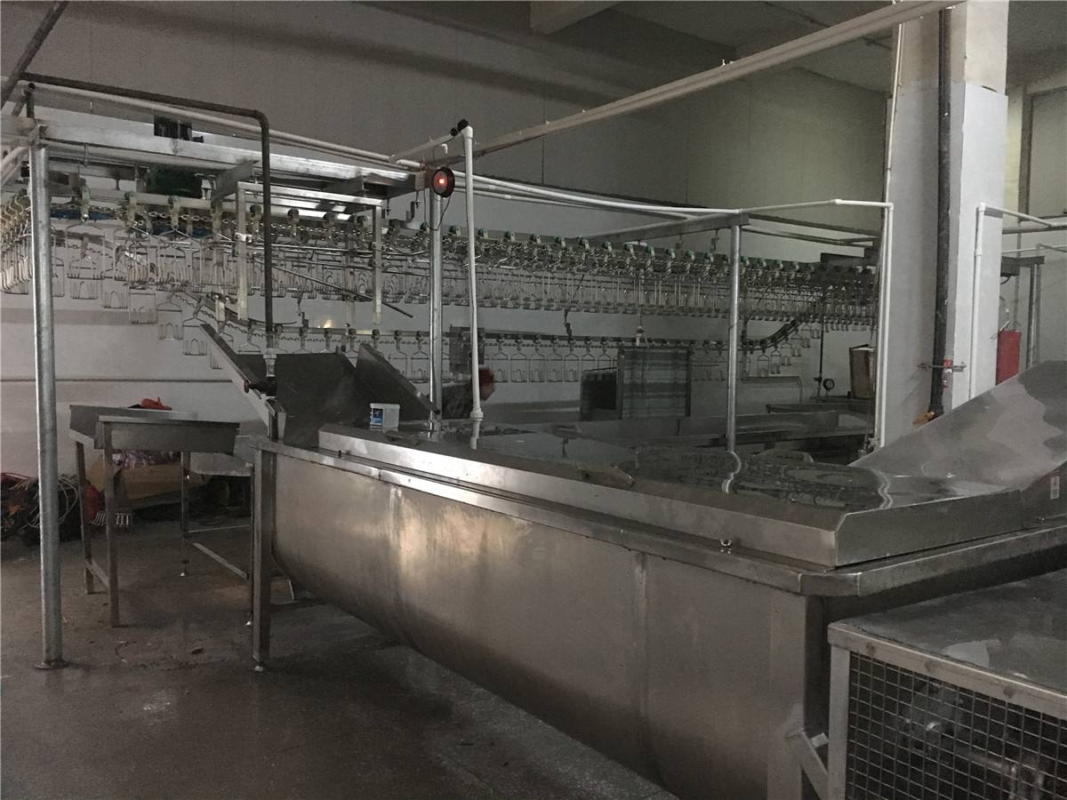 rabbit slaughter house for Slaughter House with good efficient