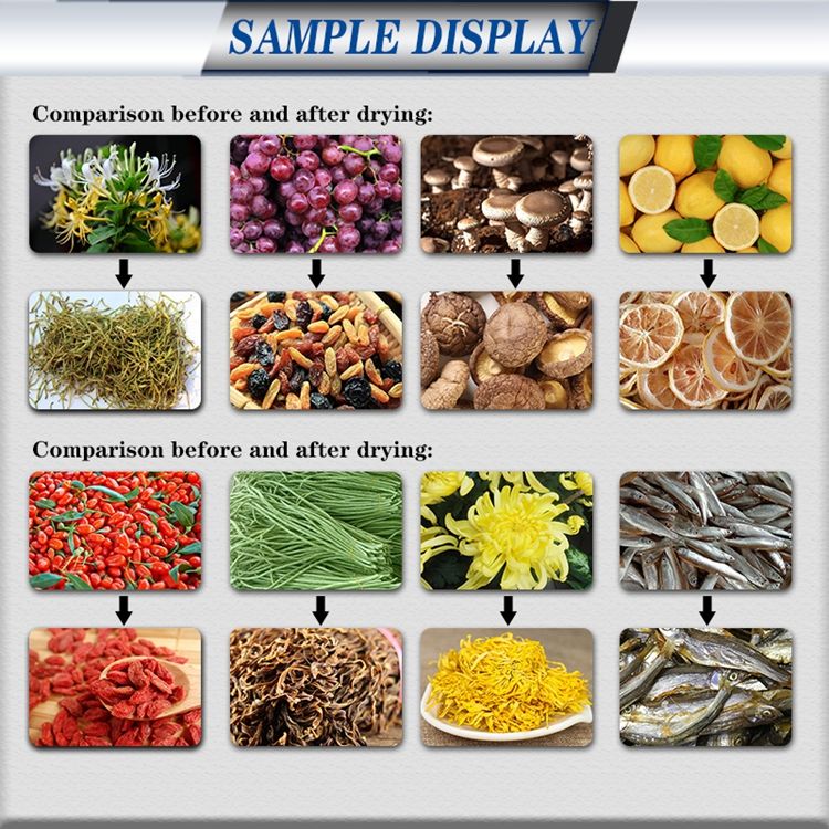 With temperature control system Cabinet Type Dryer Flower Dehydrator Banana Drying Machine