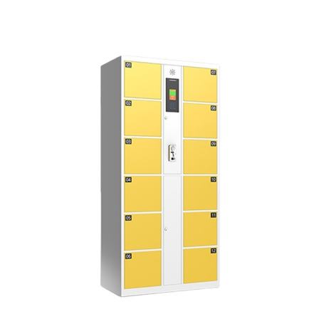 Factory wholesale community residential metal Electronic Parcel Delivery Express Locker Mailbox