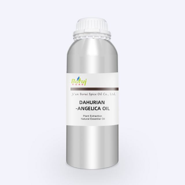 100% Natural and Pure Dahurica Angelica Oil Essential Herbal Medicine Oil